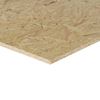 Osb 12mm 122x244cm